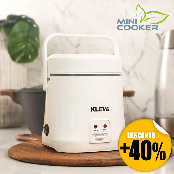 Mini Cooker